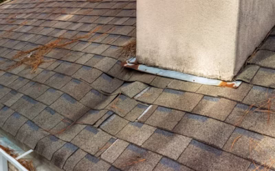 Signs of Roof Leaks in Your Home