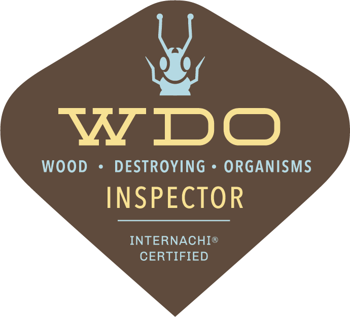 Certified Termite Inspector