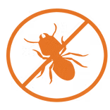 Termite inspection icon