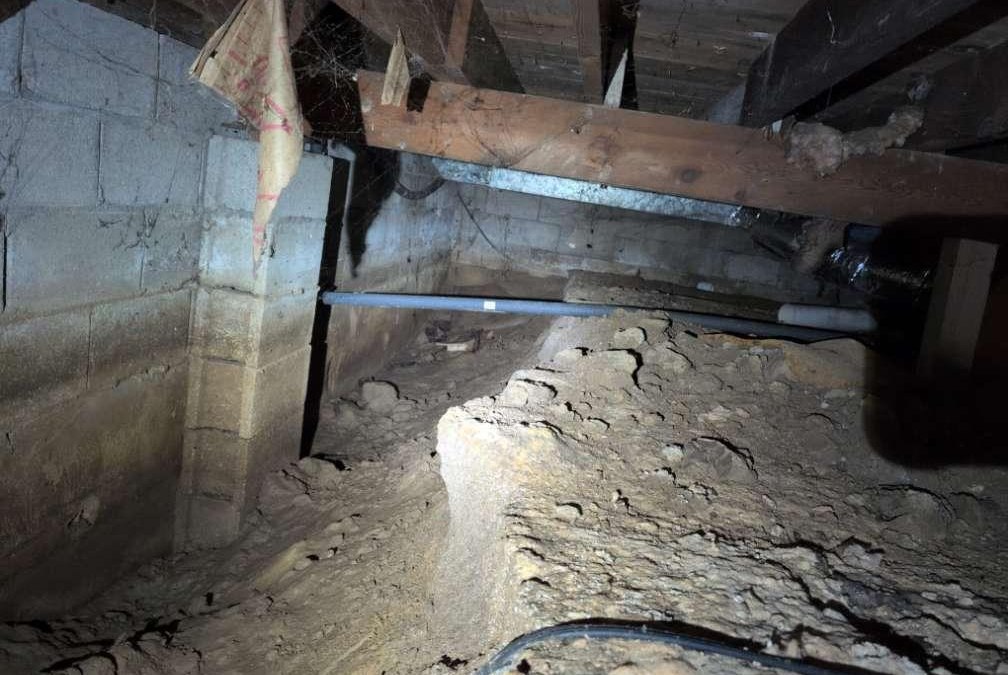 Crawlspace Checkup: Moisture, Airflow, and Pest Warning Signs