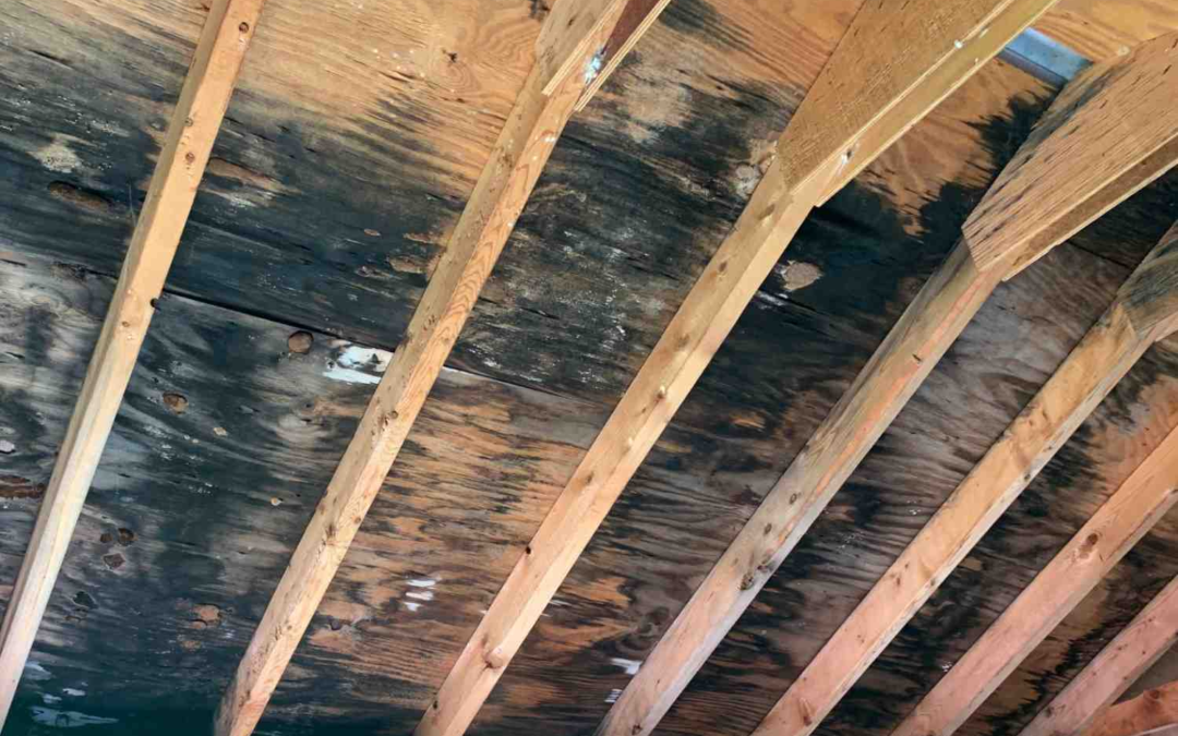 Poor Attic Ventilation: Signs, Causes, and Consequences